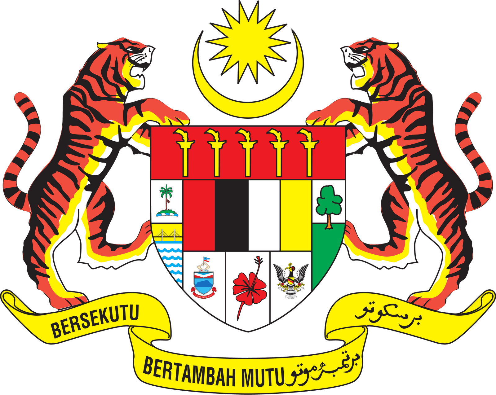 sdsd